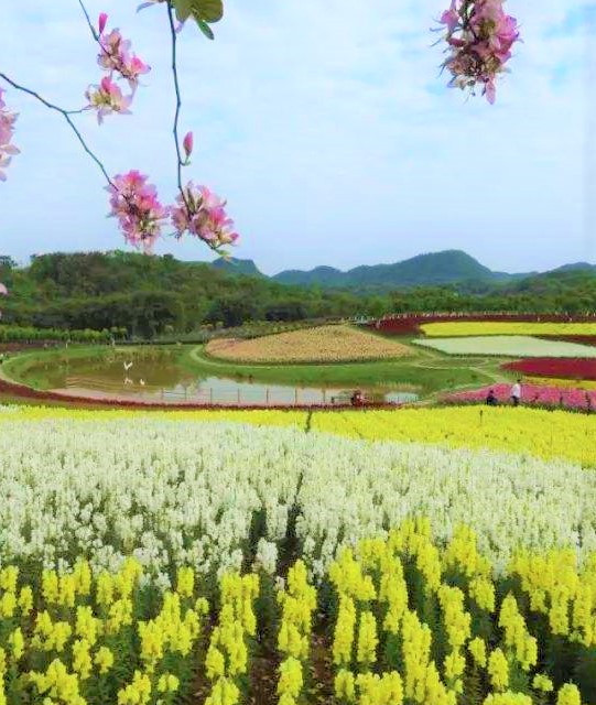               蜀南花海景区