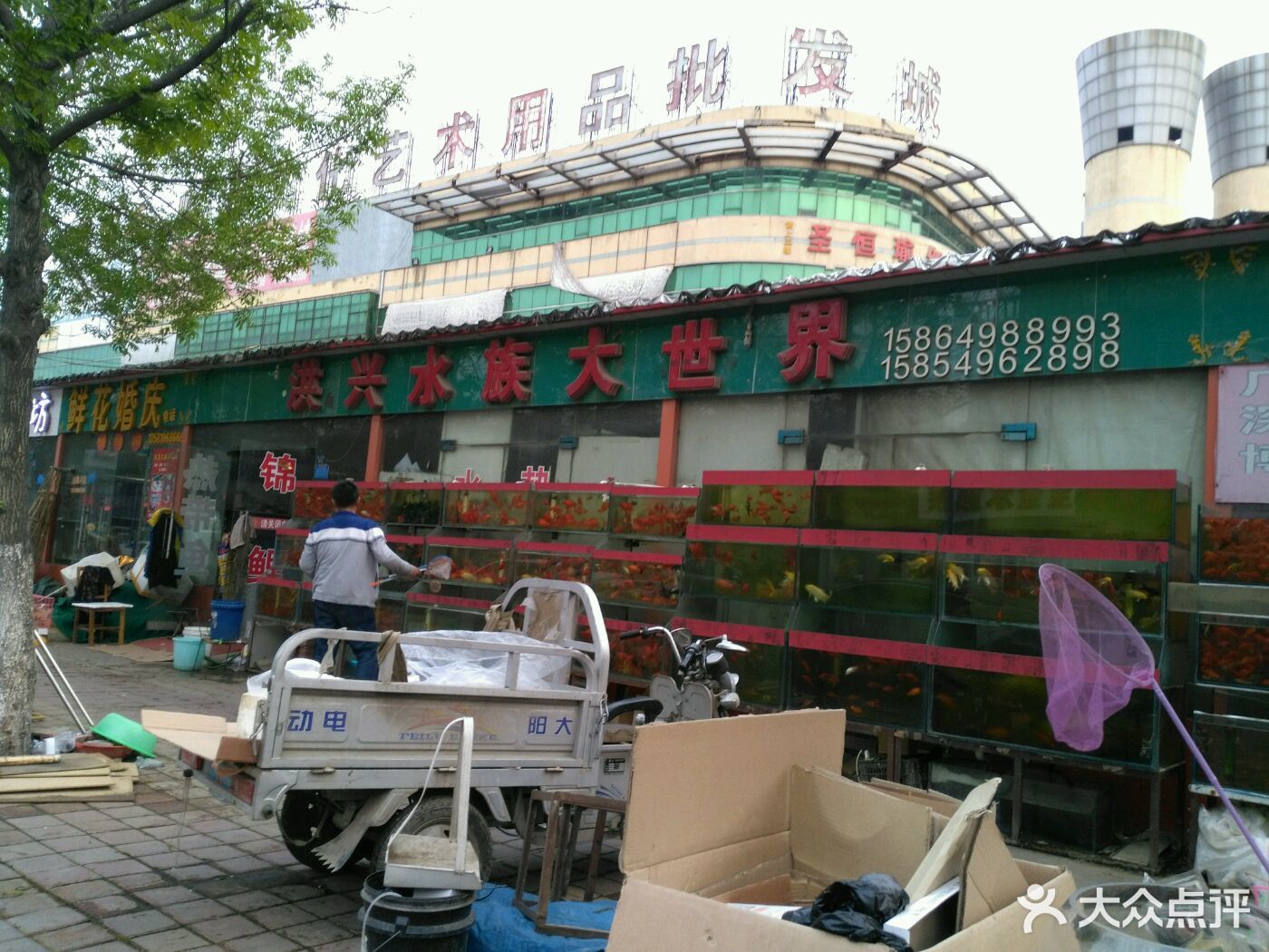 临沂春园花卉批发市场