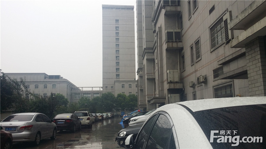 金城路属于什么街道