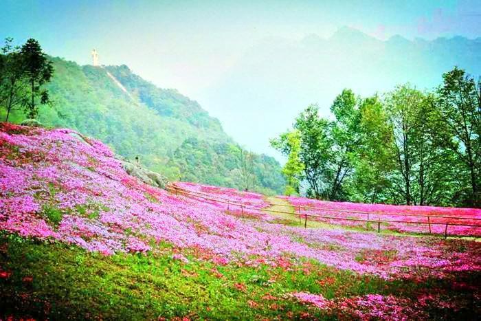              药王谷风景区