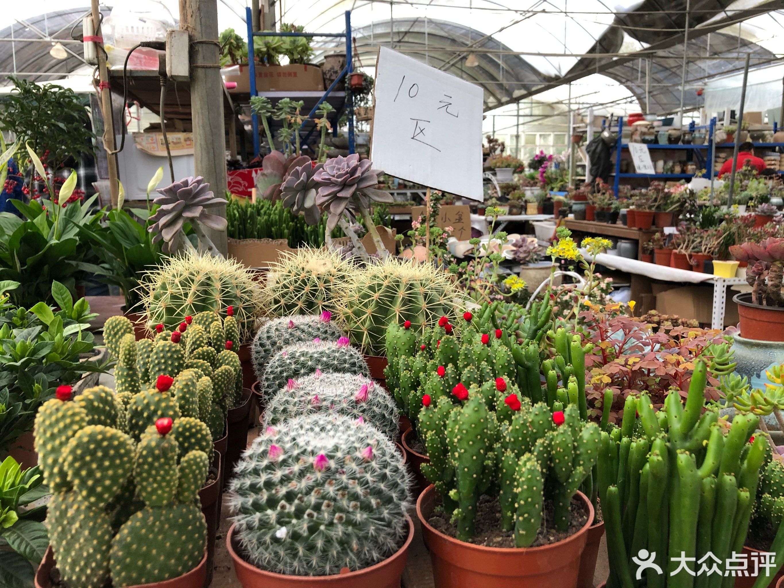 高店子花卉交易市场批发交易区