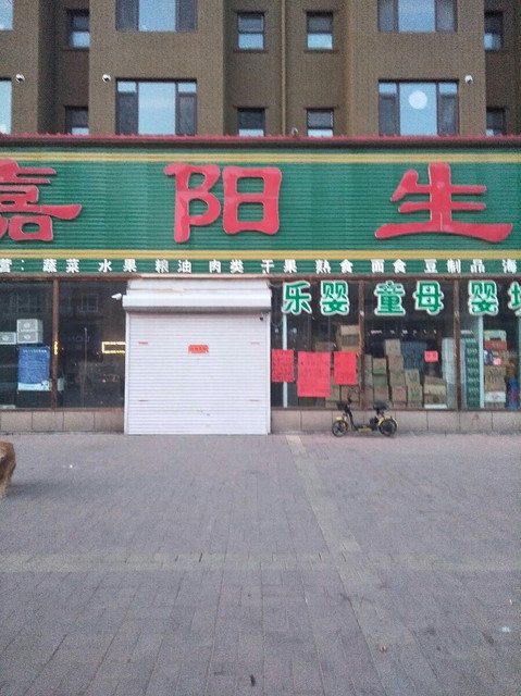 嘉阳生鲜副食品超市