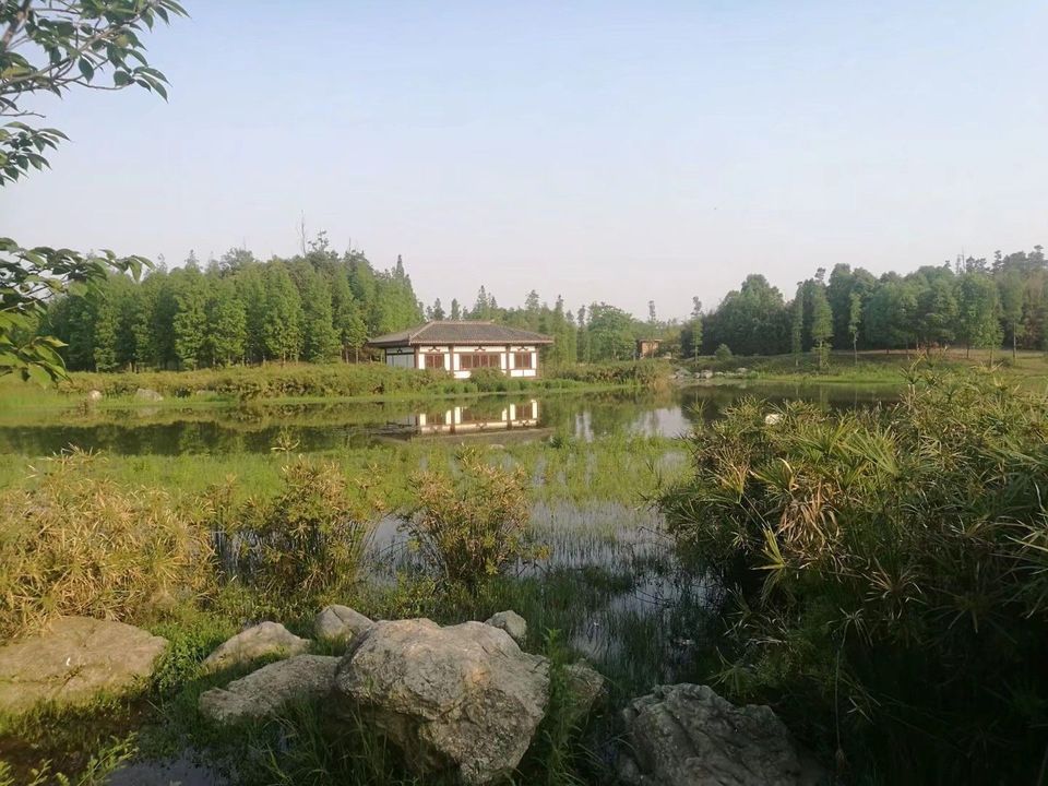 > 成都的湿地公园