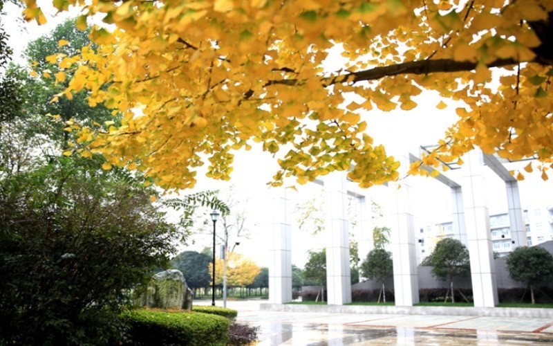 成都中医药大学(十二桥校区)