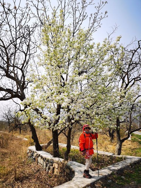 贡梨园 地址(位置,怎么去,怎么走,在哪,在哪里,在哪儿):北京市门头沟