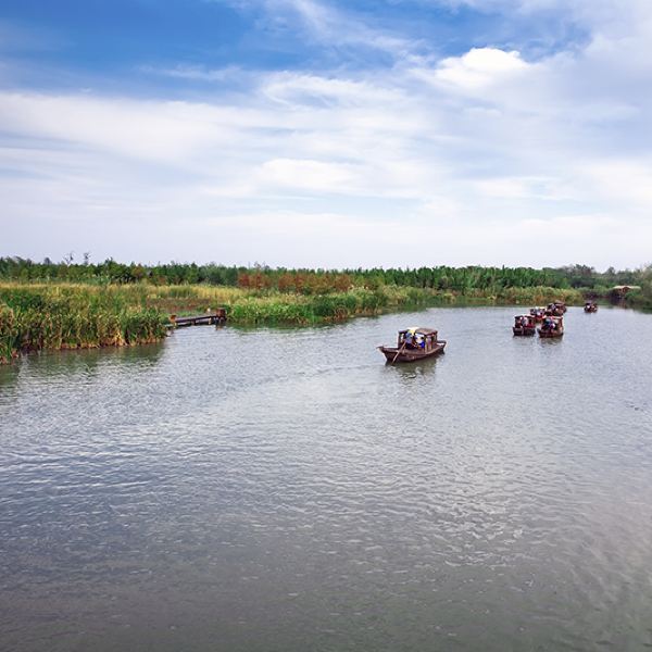 地处江苏省中部,长江淮河之间,位于泰州市姜堰区的溱湖国家湿地公园