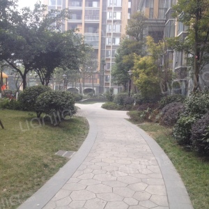 怎么去,怎么走,在哪,在哪里,在哪儿:成都市锦江区成龙路街道锦城逸景