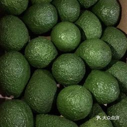 阿果果齐河路店