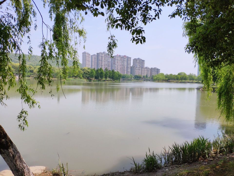 芙蓉湖湿地公园