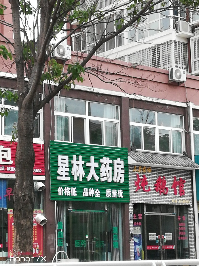 天伦大药房星林路店