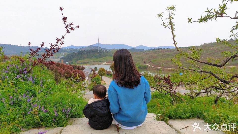 桃花岭生态园