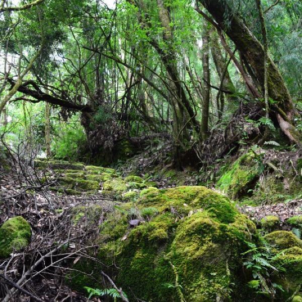 高黎贡山国家级自然保护区