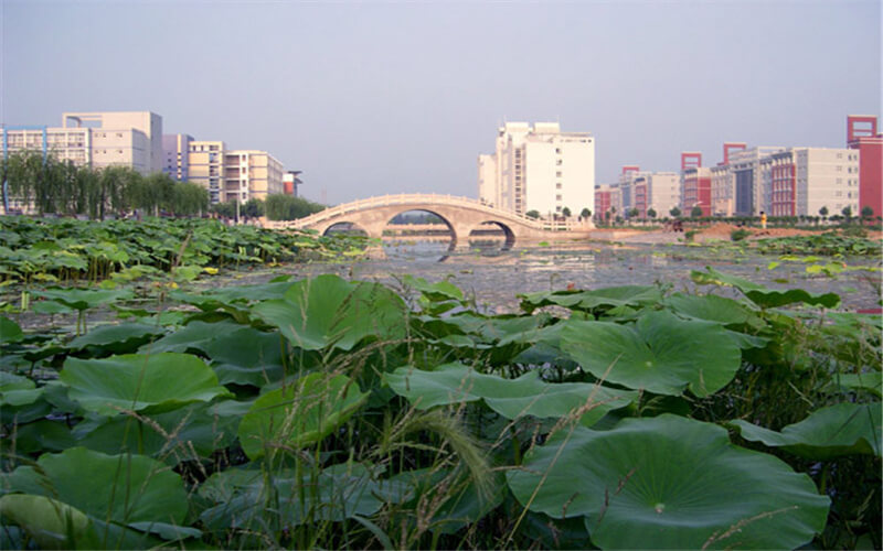            焦作大学(北校区)