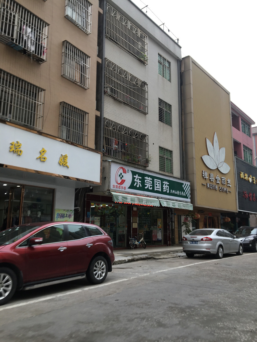                东莞国药(大岭山