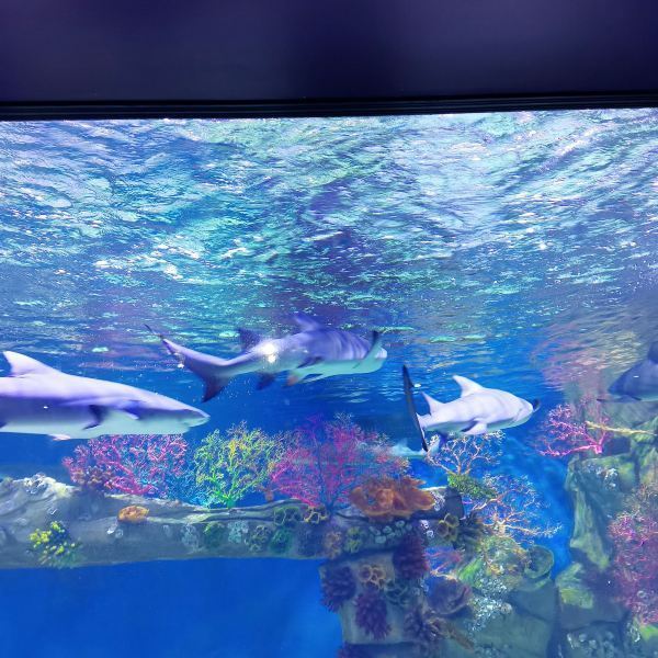 北海海底世界