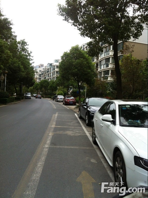 紫薇花园地址(位置,怎么去,怎么走,在哪,在哪里,在哪儿:盐城市亭湖区