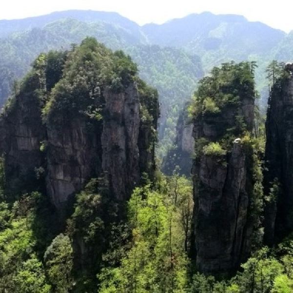 黄石寨的摘星台也是张家界最大的凌空观景台,攀上摘星台是一条很窄的