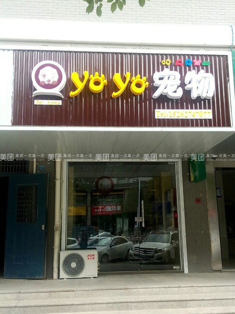 yoyo