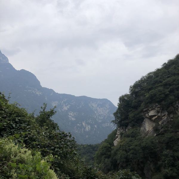 太平万花山风景区