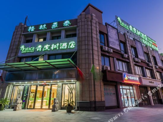 青皮树酒店上海浦东机场迪士尼华夏东路地铁站店