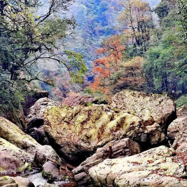 龙苍沟叠翠溪景区