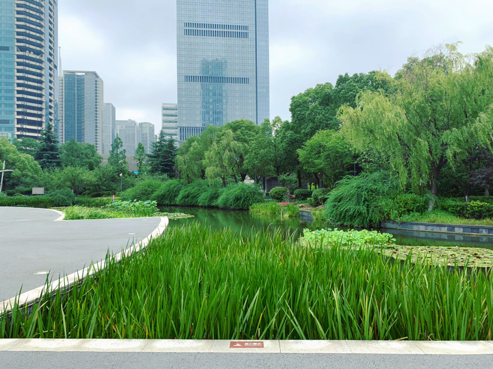 南京河西城市生态公园