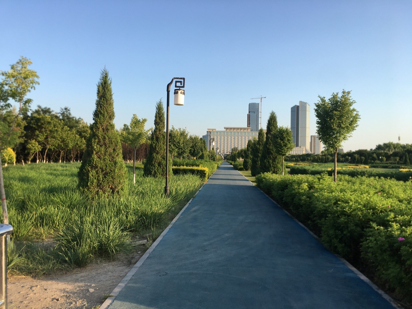 银川市森林公园