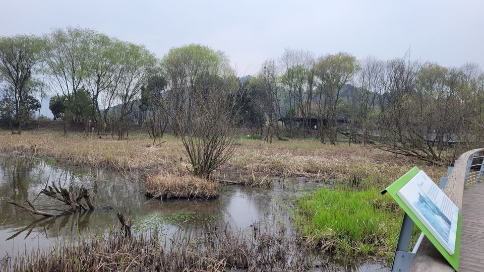 江洋畈生态公园位于杭州市西湖区凤凰山路延伸段虎玉路山腰上(八卦田