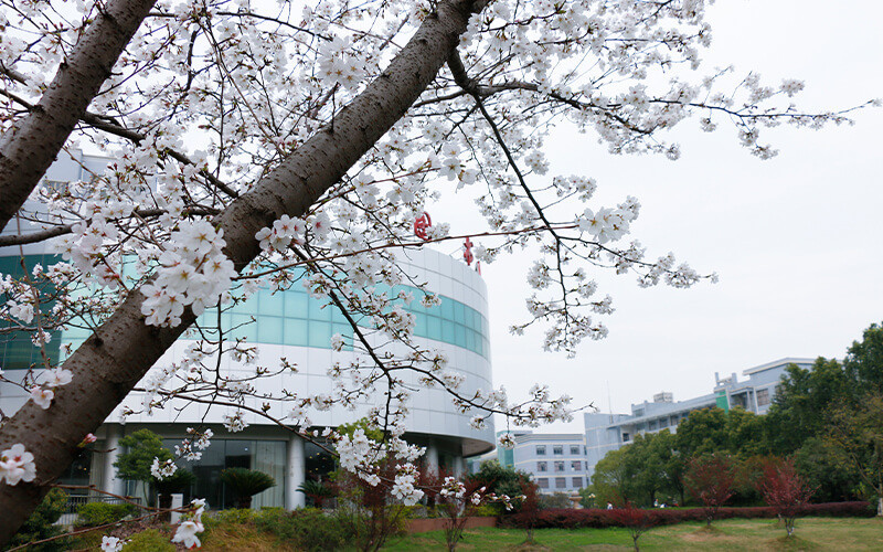 武汉工程大学(武昌校区)