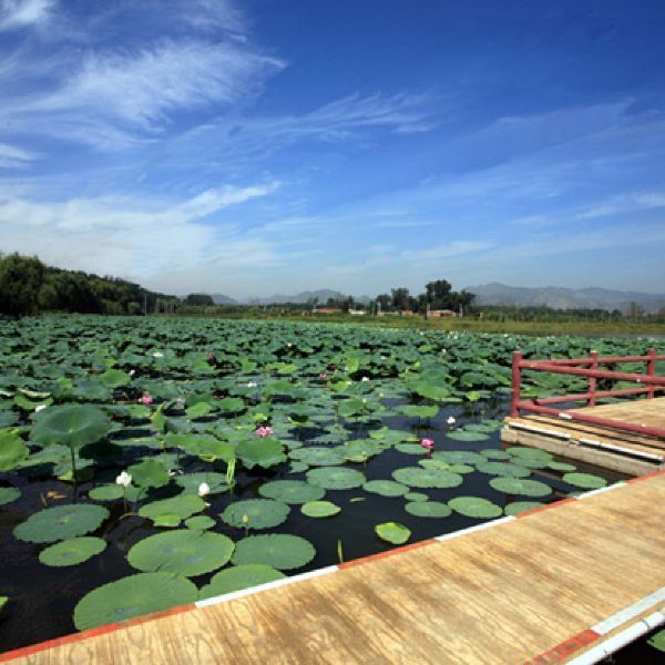 长沟湿地公园