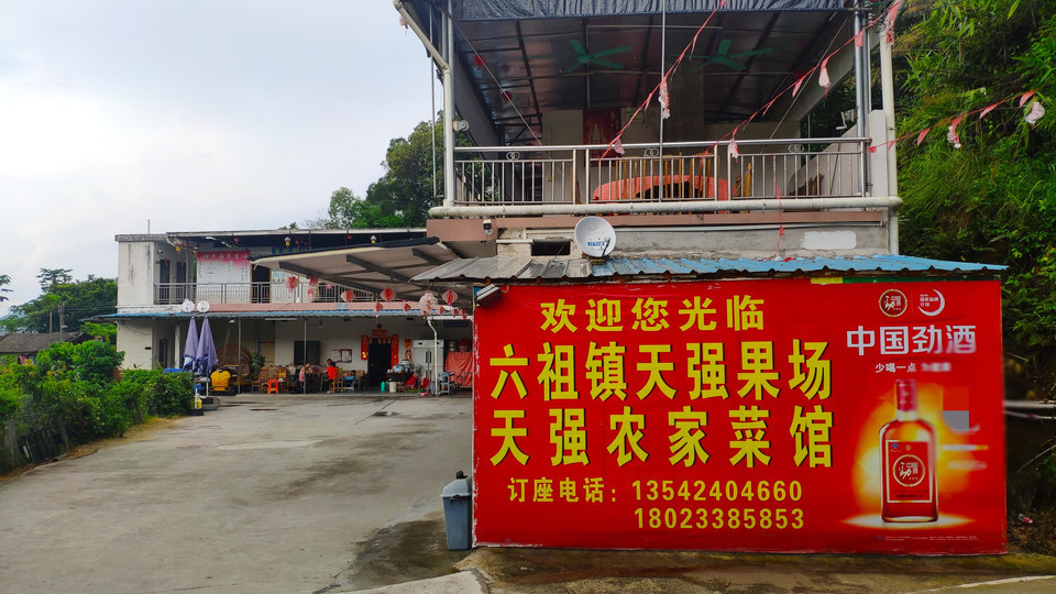 地址(位置,怎么去,怎么走,在哪,在哪里,在哪儿):云浮市罗定市龙园路