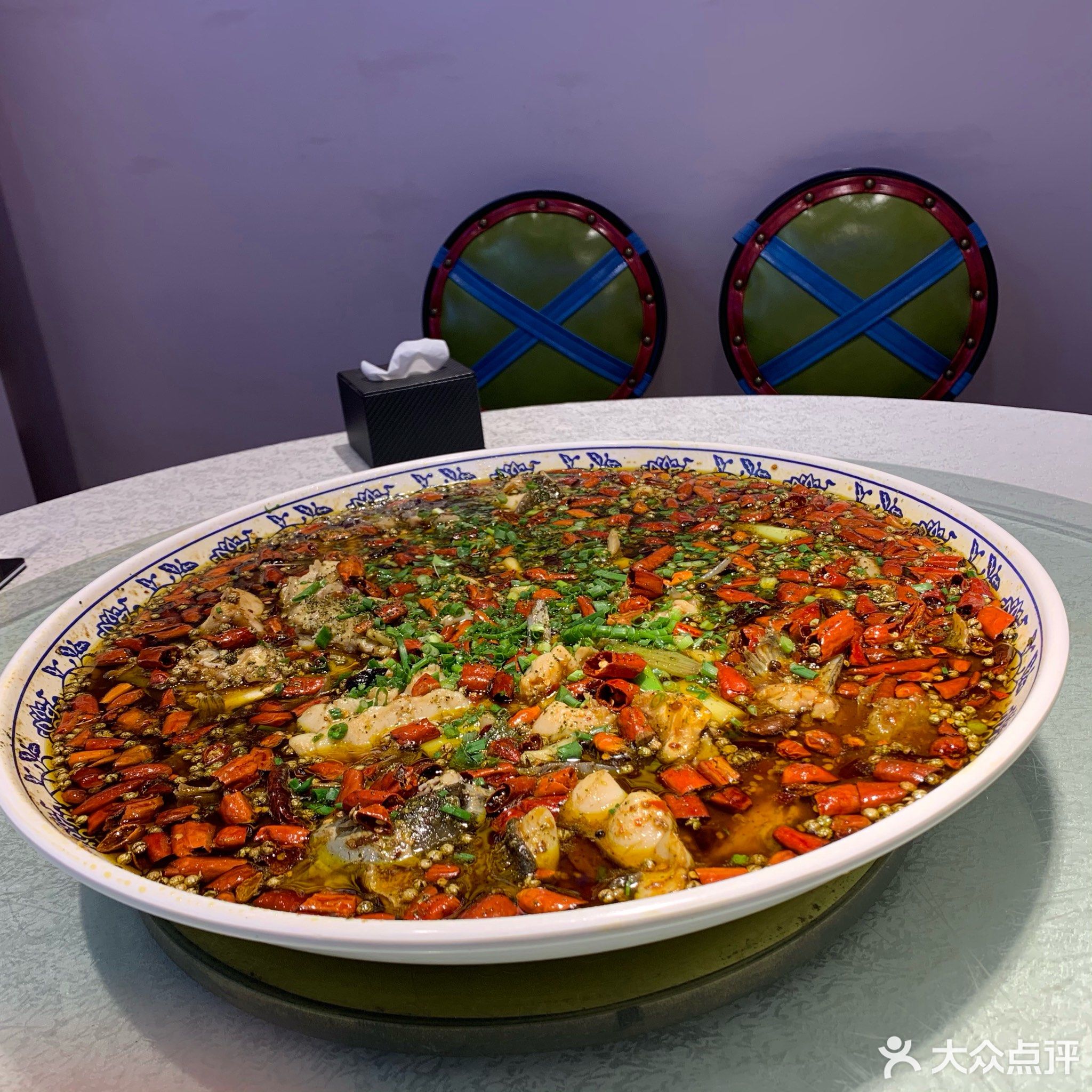              新概念来凤鱼