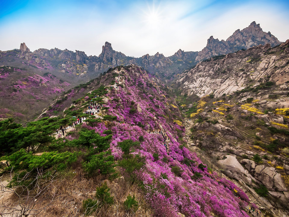 青岛大珠山风景区