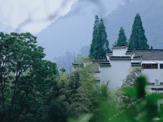 怎么走,在哪,在哪里,在哪儿:杭州市桐庐县芦茨隧道(芦茨1号度假酒店