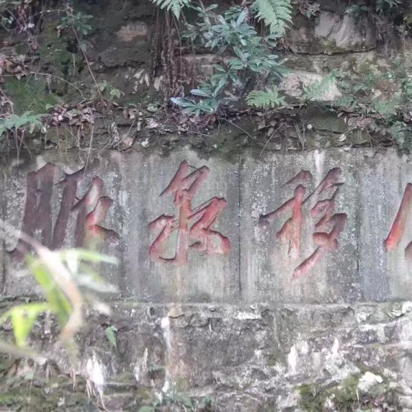 杭州市 休闲娱乐 景点公园 > 虎跑定慧寺     