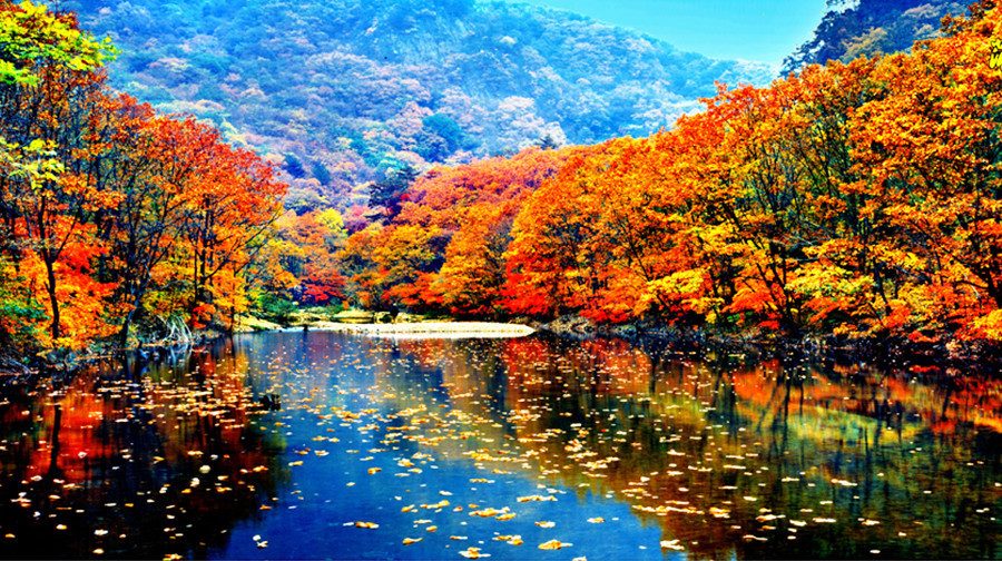             蒲石河森林公园