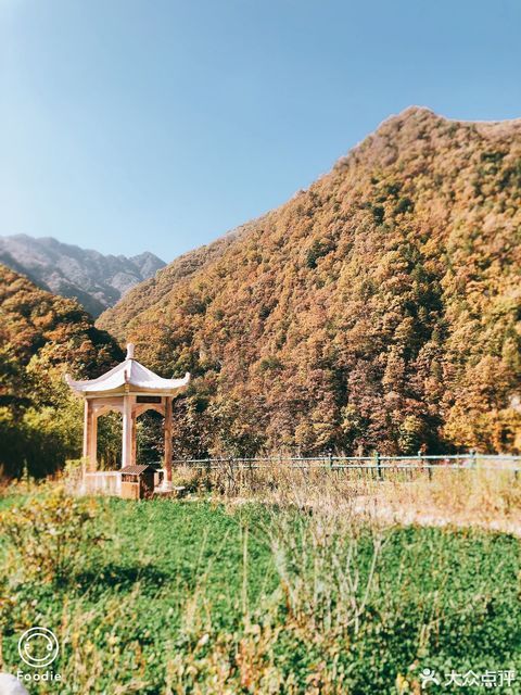 黄柏塬原生态风景区