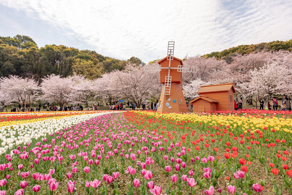 苏州上方山国家森林公园