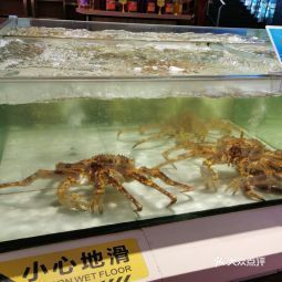 可能是年龄大了,逐渐怀念起老菜馆,满满海鲜算是大庆的招牌老店了,只