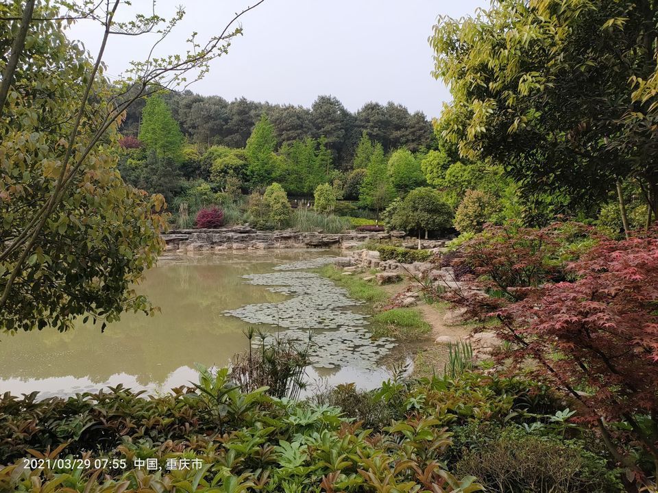 铁山坪森林公园