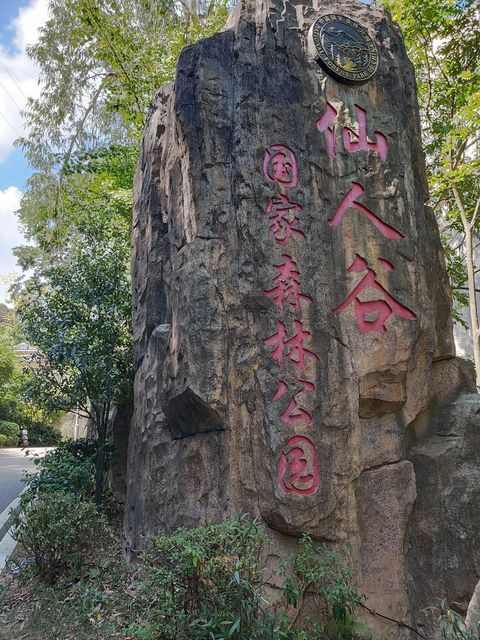 三明仙人谷国家森林公园