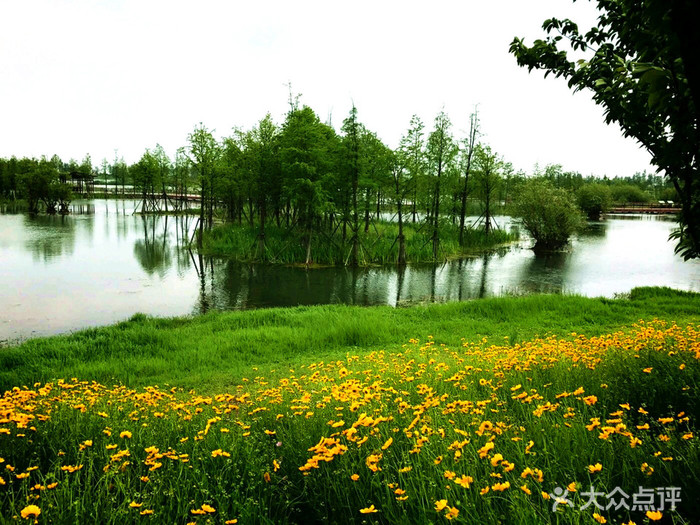 贡湖湾湿地公园