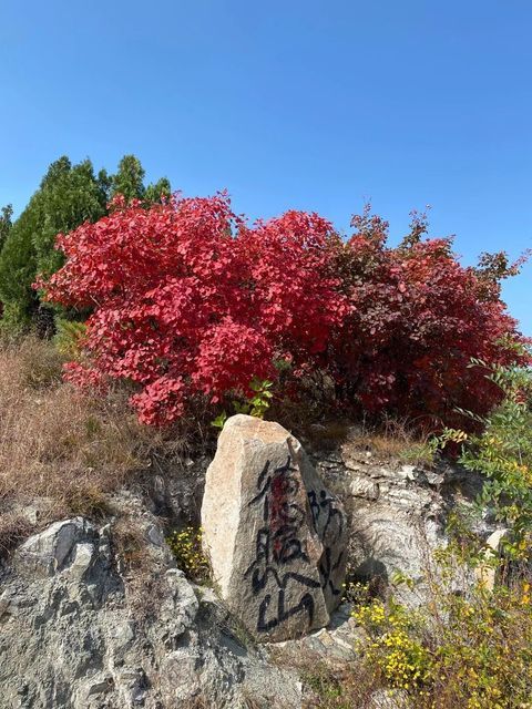 【九重天风景区】九重天风景区门票,九重天风景区游玩攻略_360地图