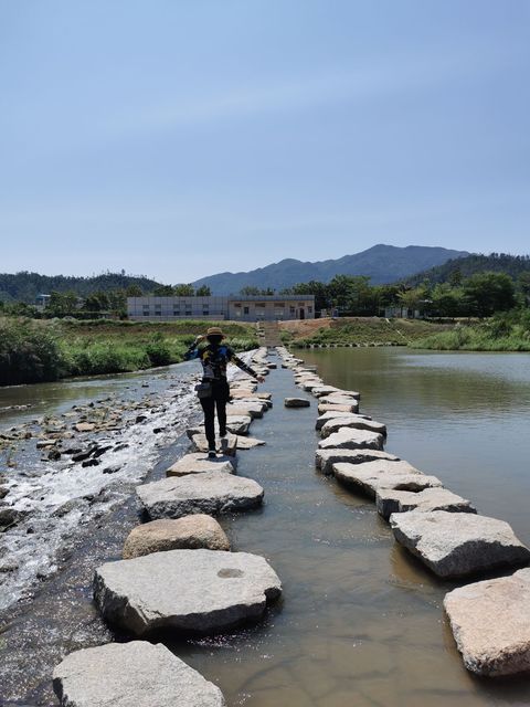             坪山河湿地公园