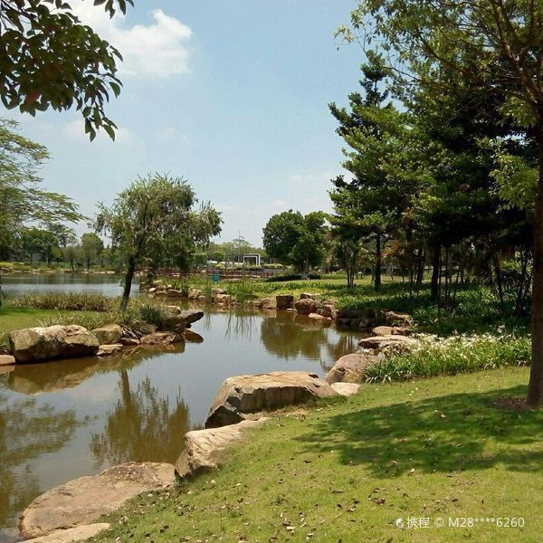 2021-05-20【广州国际生物岛】广州国际生物岛地址,岛