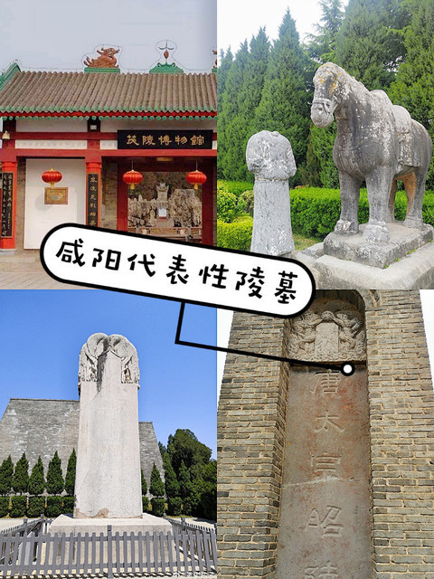 地址(位置,怎么去,怎么走,在哪,在哪里,在哪儿):咸阳市礼泉县214县道