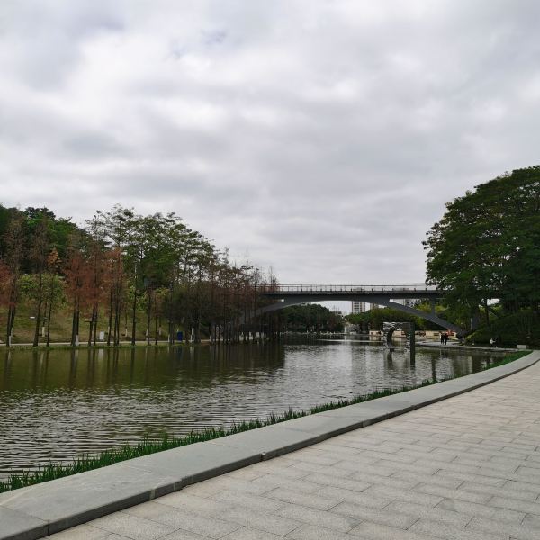 礌岗公园