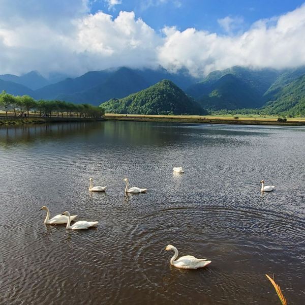 神农架旅游区-大九湖景区图片