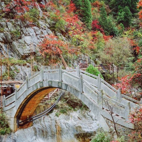 成县西峡颂风景区