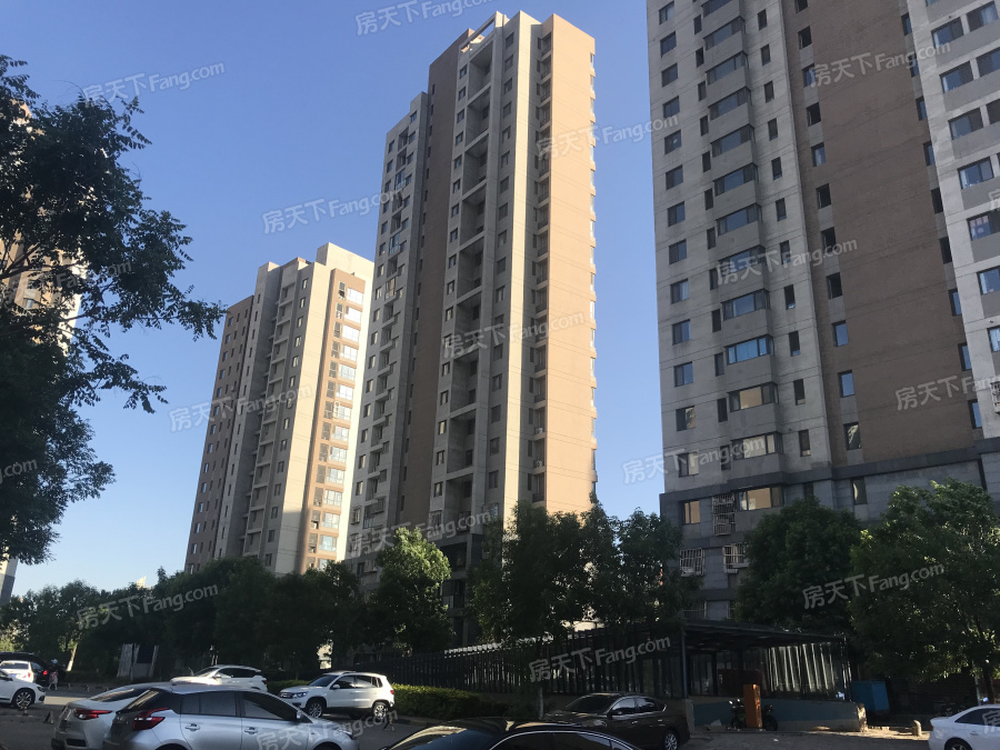 地址(位置,怎么去,怎么走,在哪,在哪里,在哪儿:天津市津南区辛庄镇